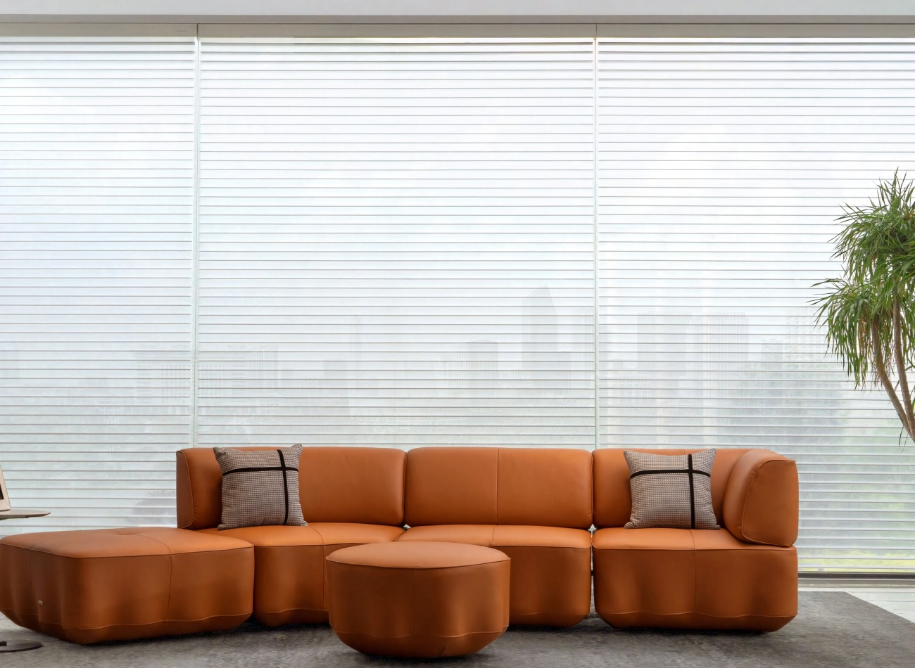 Blackout Shangri Shades