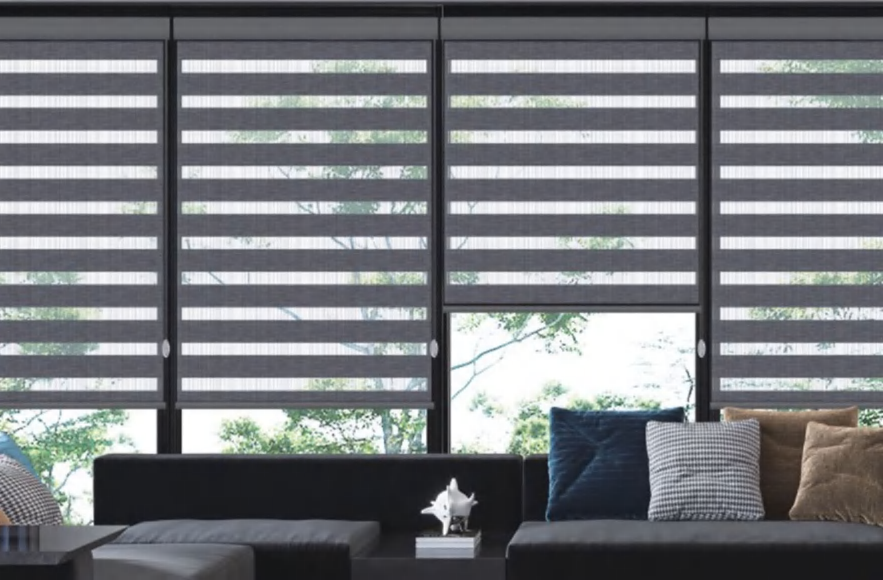 Blackout Zebra Blinds