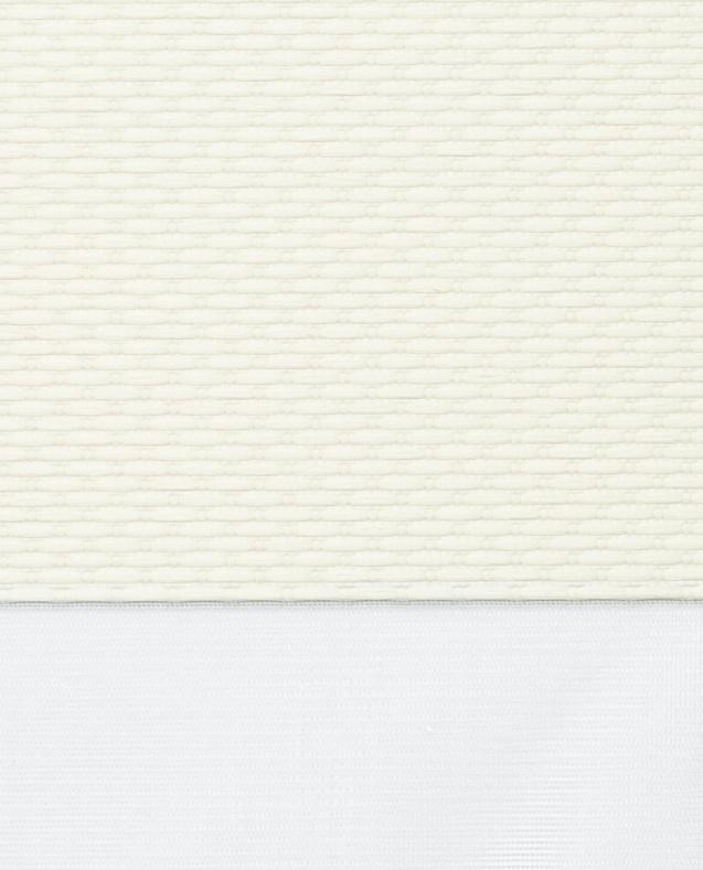 Cory-Ivory