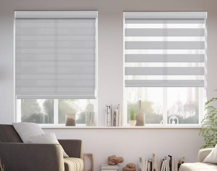 Light Filtering Zebra Blinds
