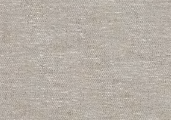 Solvision-Tan